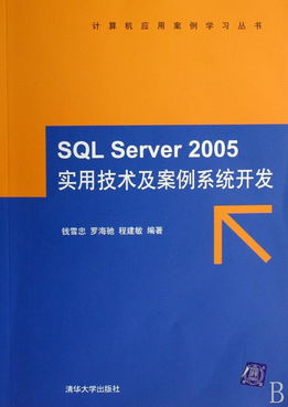 SQL Server 2005實(shí)用技術(shù)及案例系統(tǒng)開(kāi)發(fā) 附光盤(pán)的計(jì)算機(jī)應(yīng)用案例學(xué)習(xí)指南